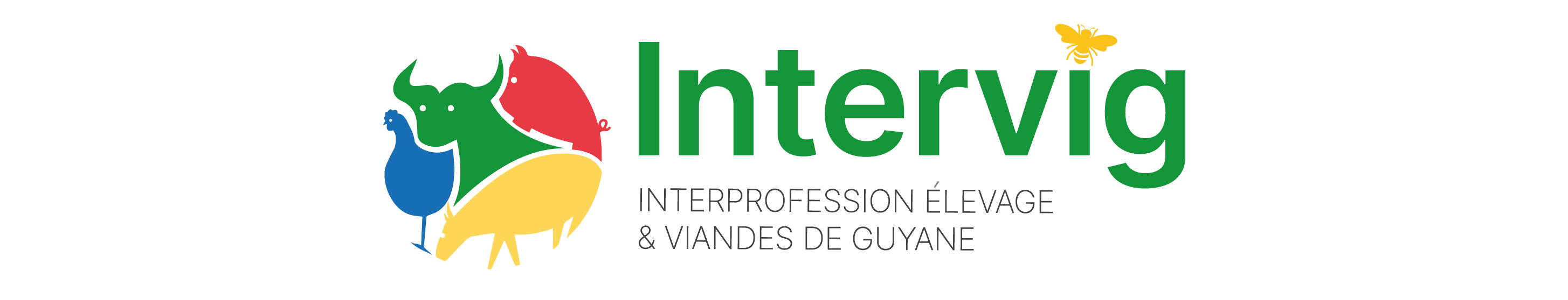 logo-intervig-guyane