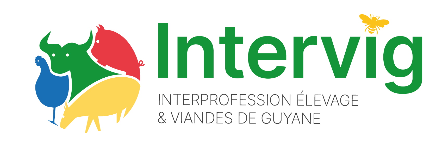 Logo_Intervig logo-intervig-guyane