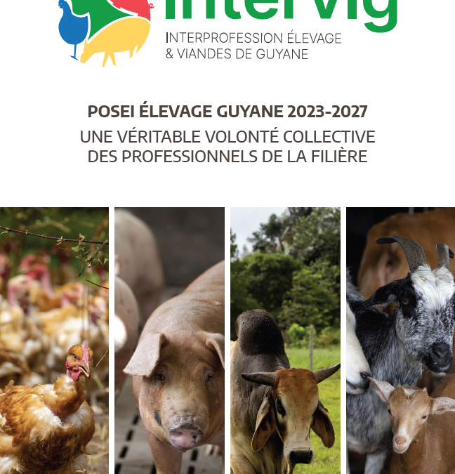 POSEI 2023-2027 – Point d’actualité