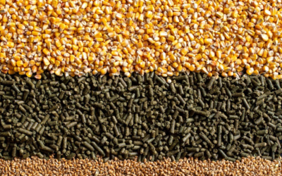 Plan de résilience – Aide à l’alimentation animale